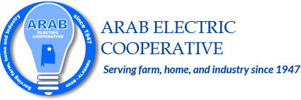 https://marshallteam.org/wp-content/uploads/2022/05/arab-electric-cooperative.png